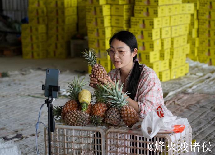 菠萝直播视频